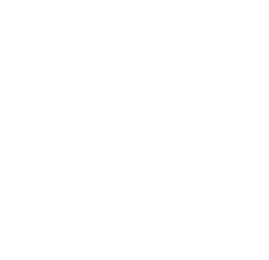 velux2